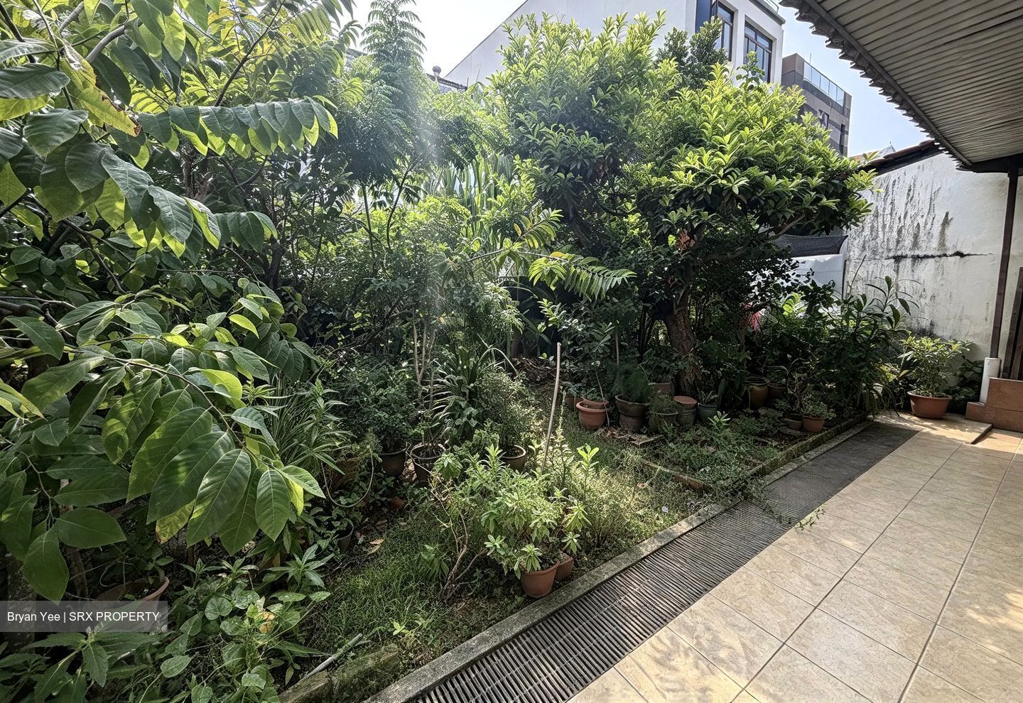 Jalan Selamat (D14), Terrace #626686701